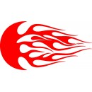 Flame 008